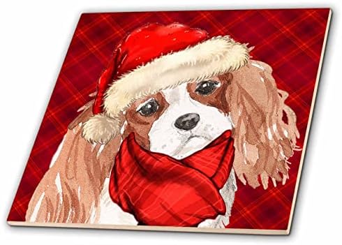 3dRose Коледен кавалер Кинг Чарлз Куче Дядо с червената празнична каре плочки (ct_351768_1)