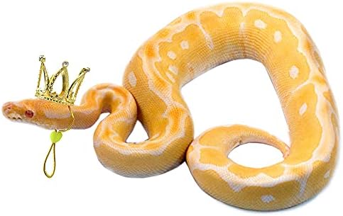 2 Опаковане на Змията Корона с Регулируема Еластична Лента за брадичката, за Мячика Python Snake Tiny Пет Crown