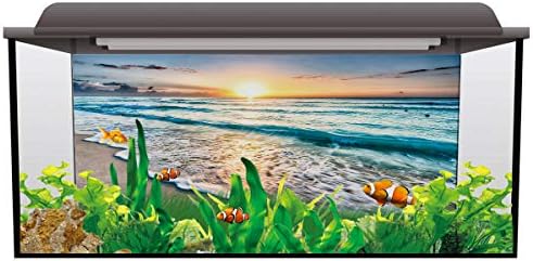Фон за аквариум с Океанскими Вълни Monroda, Издръжлив PVC Лигав Фона на Плакат За Аквариум, Декори За Аквариум, Декоративна Хартия 12,4x24,4 инча, Плажен Природен Пейзаж на З?